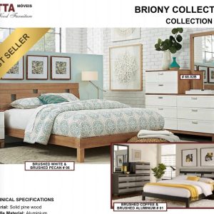 JUEGO DE HABITACION BRIONY BRUSHED WHITE PECAN QUEEN SET 2